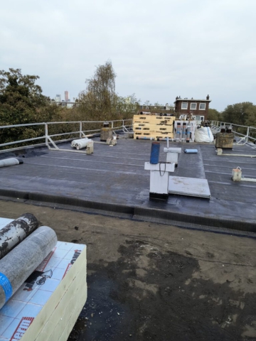 IMG_20241031_125558749