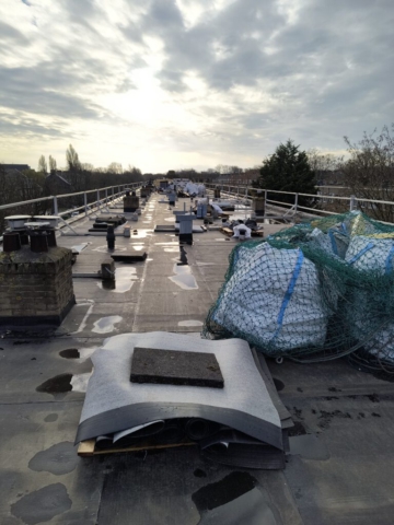 IMG_20241126_141350310