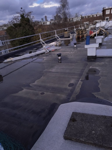 IMG_20241126_141356843