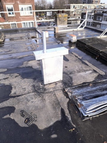 IMG_20241130_121453894