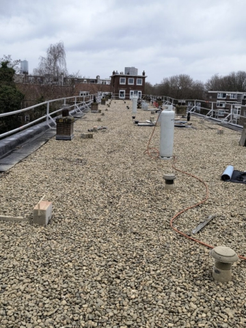 IMG_20241216_131126466