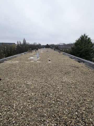 IMG_20241217_133731407