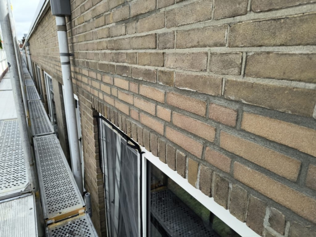 IMG_20250525_115346981