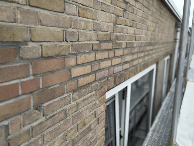 IMG_20250525_115411673_MF_PORTRAIT