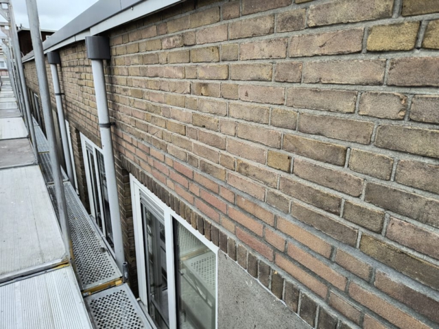 IMG_20250525_115631708_HDR